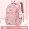 Orange Pink Big