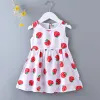 Red Strawberry