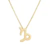 Capricorn Gold
