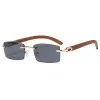 C1 Gold Frame Black