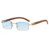 C5 Gold Frame Light Blue