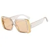 C6 Champagne Frame Champagne Slices