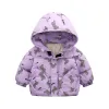 Purple Bear