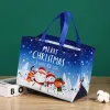 Santa Claus (Snow)