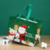 Santa Claus (Green)