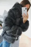 Silver Fox