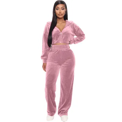 Athleisure Women Zipper Solid Color Long Sleeve Top And Straight Pants Two Piece Set