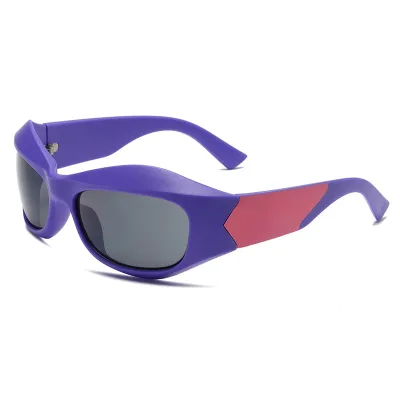 Personalized Unisex Plastic Frame Sunglasses
