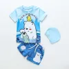 Polar Bear On Sky Blue
