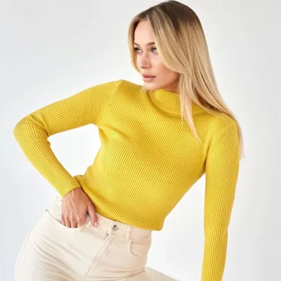 Women Basic Long Sleeve Turtleneck Solid Color Slim Knitwear