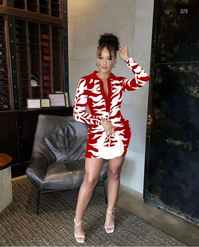 Women Fashion Autumn Winter Lapel Breasted Print Dress