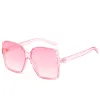 Pink Frame Pink