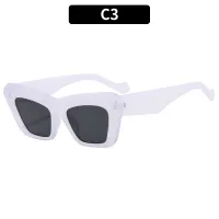 C3- White Frame Black Sheet