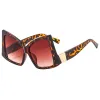 C3- Leopard