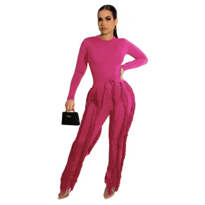 Women Solid Color Crewneck Long Sleeve Top And Tassel Pants Two-Piece Set