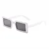 Gray Frame With White Frame