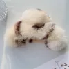 Light Leopard