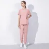 42016 Pink LW