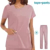 42022 Pink Suit