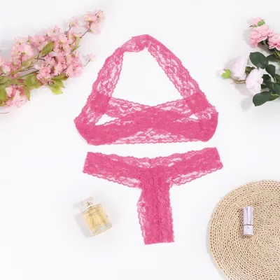 Women's Sexy Lace Hollow Lingerie Bra Set
