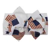 Flag Style
