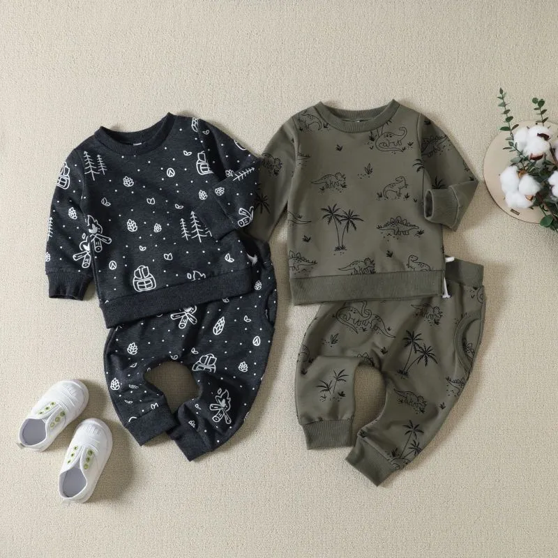 Toddlers Newborn Baby Boys Long Sleeve Cartoon Dinosaurs Print Top And Pants 2pcs Set Pullover Cotton