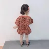 Orange Suit