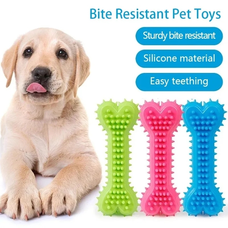 Wholesale shop pet toys