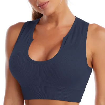 Women's Fitness Running Shockproof Yoga Sports Bra Shorts