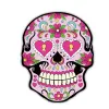 YX0035 Skeleton