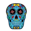 YX0037 Skeleton