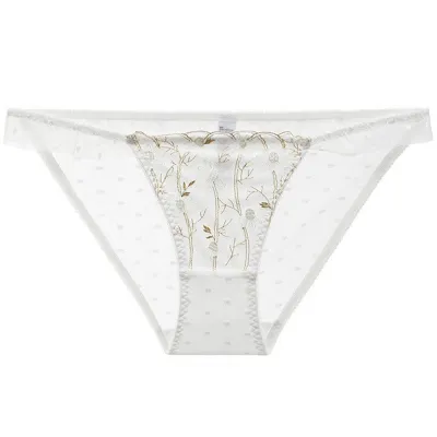 Women's Seamless See-Through Lace Mesh Low Waist Panties