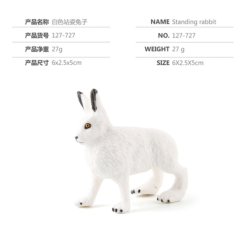 y⭐︎Rabbit il_1080xN.5709130514_8m28.jpg