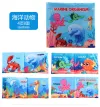 Sea Animals