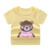 ZT Yellow Bear