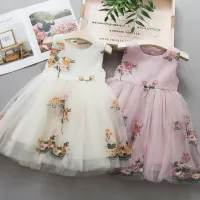Children Kids Baby Fashion Girls Sleeveless Embroidery Floral Mesh Princess Dress