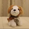 Saint Bernard