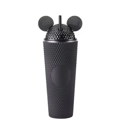 Portable Large-Capacity Household Double-Layer Plastic Straw Cup for Home Kitchen