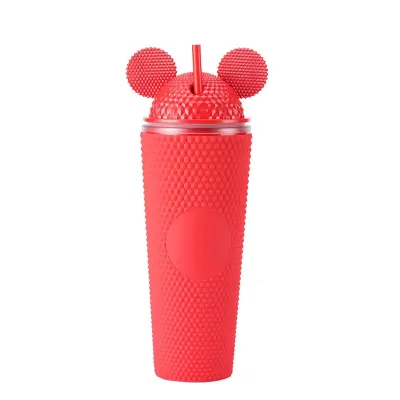 Portable Large-Capacity Household Double-Layer Plastic Straw Cup for Home Kitchen