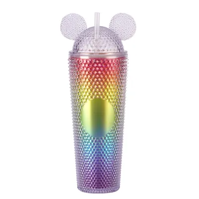 Portable Large-Capacity Household Double-Layer Plastic Straw Cup for Home Kitchen