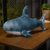 Blue Shark