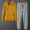 Yellow + Gray