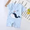 Short Climb - Blue Whale