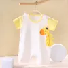 Yellow Giraffe