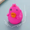 Winking Rose Duck