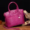 PG-65 Dragon Fruit Color