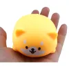 Squeeze Shiba Inu