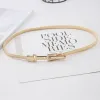 Gold Simple Hook To Buckle Spring Chain