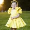 D0823-1 Yellow