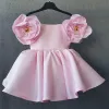 D0823-1 Pink